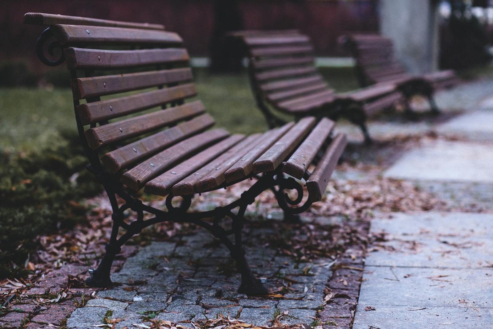 Atmospheric image of unoccupied park benches surrounded by fallen leaves in an outdoor setting.